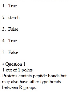 Chapter 3 Quiz